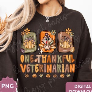 Puede incluir: Una sudadera de manga larga de color marrón oscuro con un gráfico de dos calabazas y un pavo con sombrero de peregrino en marcos rectangulares. El texto dice ONE THANKFUL VETERINARIAN en letras naranjas y marrones con huellas de patas.