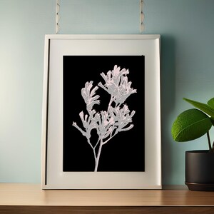 Kangaroo Paw, Flower Print, flower drawing, Pink Cosmos Flower, Painting Ideas, Poster Flower Wall Art, Colourful Art, Abstract Floral Decor