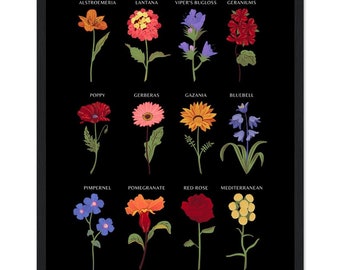 Botanical Illustrated Flower Chart Framed Wall Art Poster