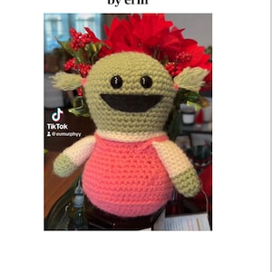 May include: A crocheted girl doll with green skin, black eyes, and a pink dress. The doll is sitting on a table with a red poinsettia plant in the background. The text "TikTok" and "@evmurphy" is visible in the image.