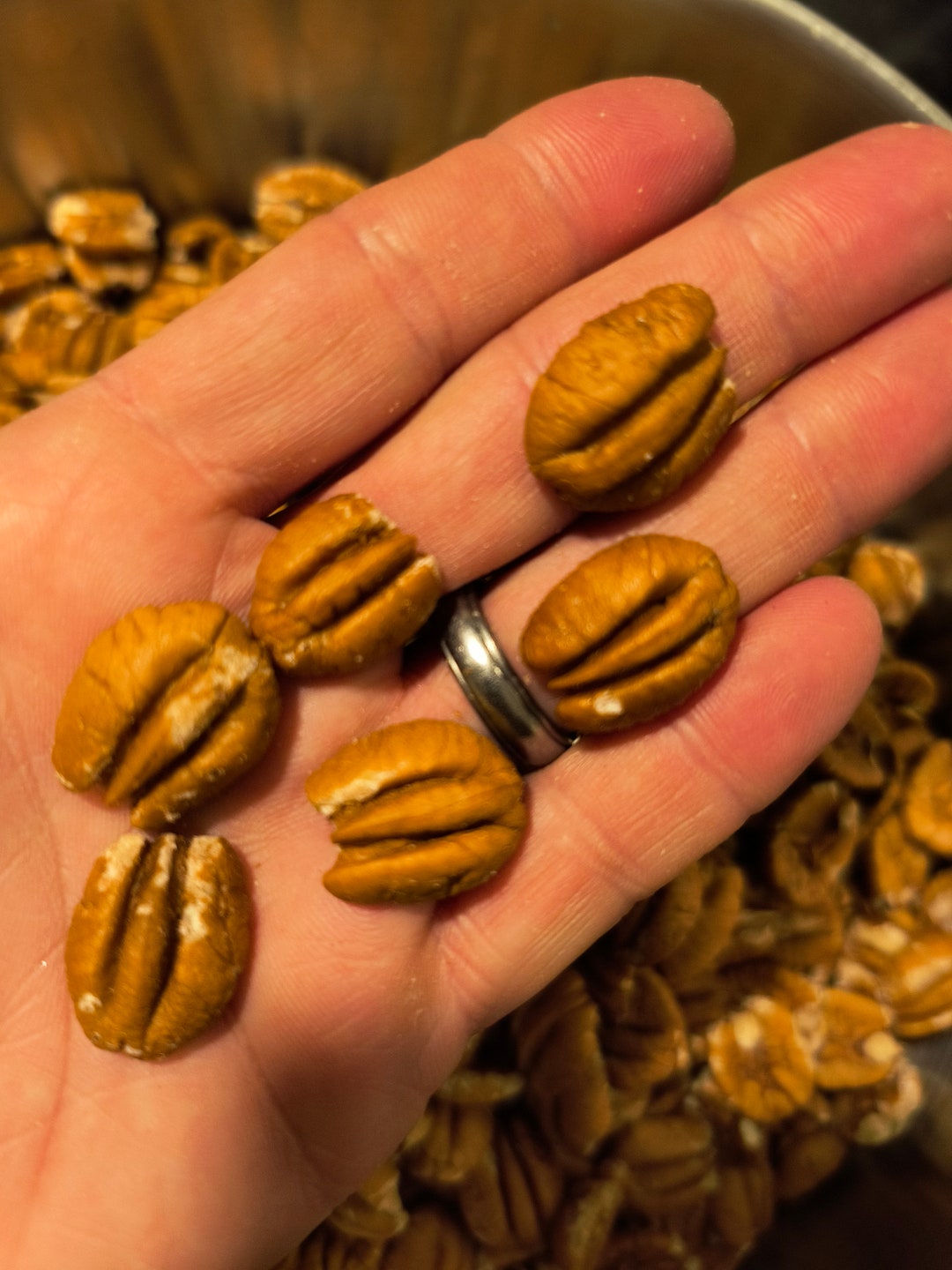 5 Delicious GA Elliot Pecan Halves 2023 Crop Etsy