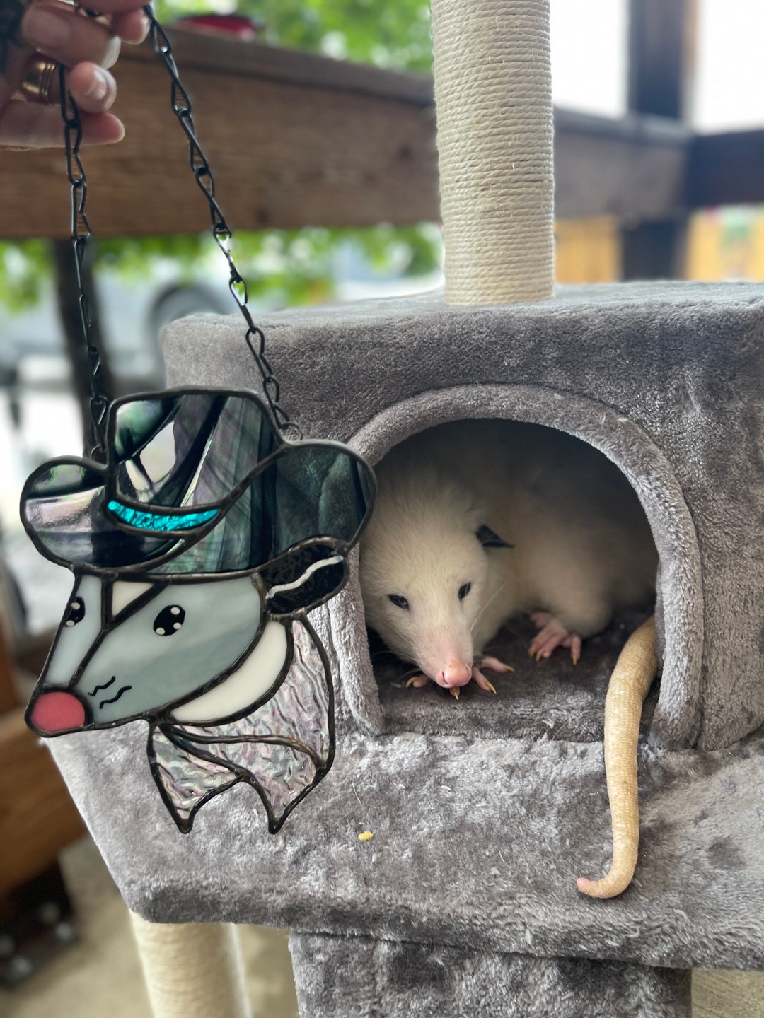 CUSTOM Stained Glass Possum Benefits Wildlife Rehab Etsy