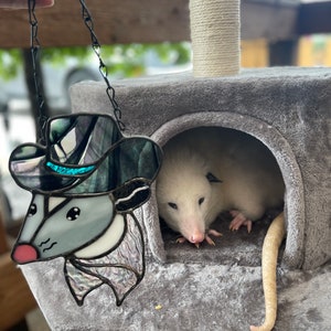 CUSTOM stained glass possum benefits wildlife rehab
