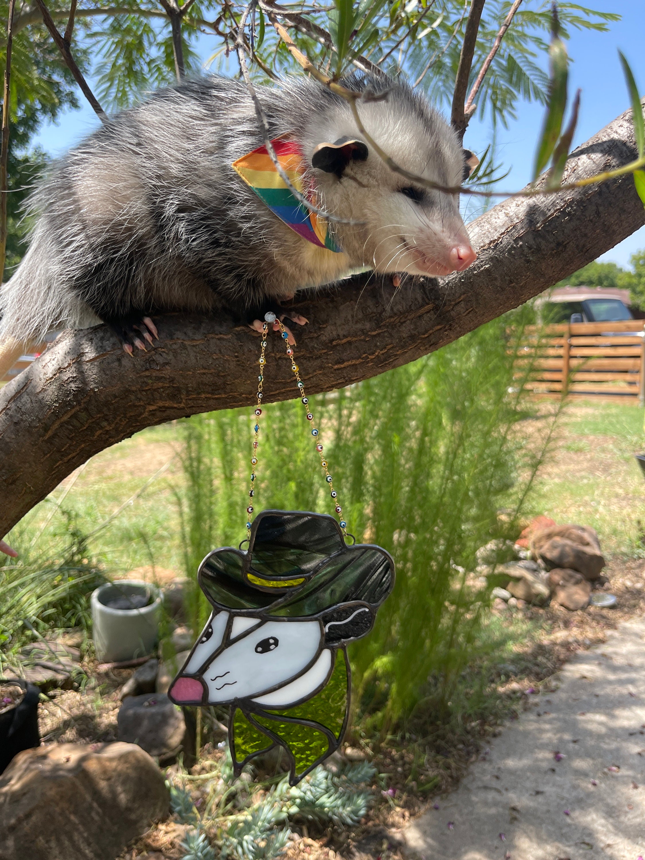 CUSTOM Stained Glass Possum Benefits Wildlife Rehab Etsy