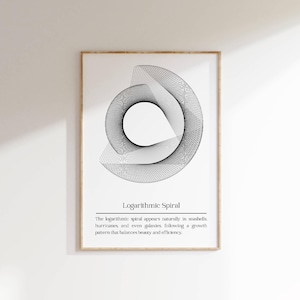 May include: A black and white illustration of a logarithmic spiral, with the text "Logarithmic Spiral" and a description of the spiral's appearance in nature.