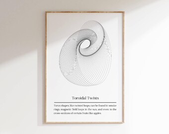 May include: A black and white illustration of a torus shape, a three-dimensional donut-like shape. The caption below the image reads "Toroidal Twists" and explains that torus shapes can be found in smoke rings, magnetic field loops in the sun, and even in the cross-sections of certain fruits like apples.