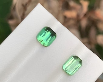 May include: Two rectangular, faceted, bright green gemstones are displayed on a white surface. The gems have a vibrant, translucent appearance, with visible internal structures. The background is blurred, suggesting an outdoor setting.