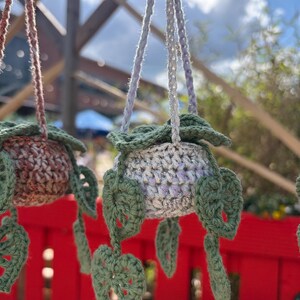 Peut inclure: Suspensions de plantes crochet&eacute;es dans les tons de vert, blanc et marron. Les supports sont suspendus par des cordons tress&eacute;s et pr&eacute;sentent des accents de feuilles d&eacute;coratives. L'arri&egrave;re-plan comprend une cl&ocirc;ture rouge et un aper&ccedil;u du ciel.