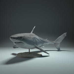 Great White Shark Breaching 3D STL Model – Realistic High-Detail Ocean Predator with Display Stand for 3D Printing and Aquarium Decor