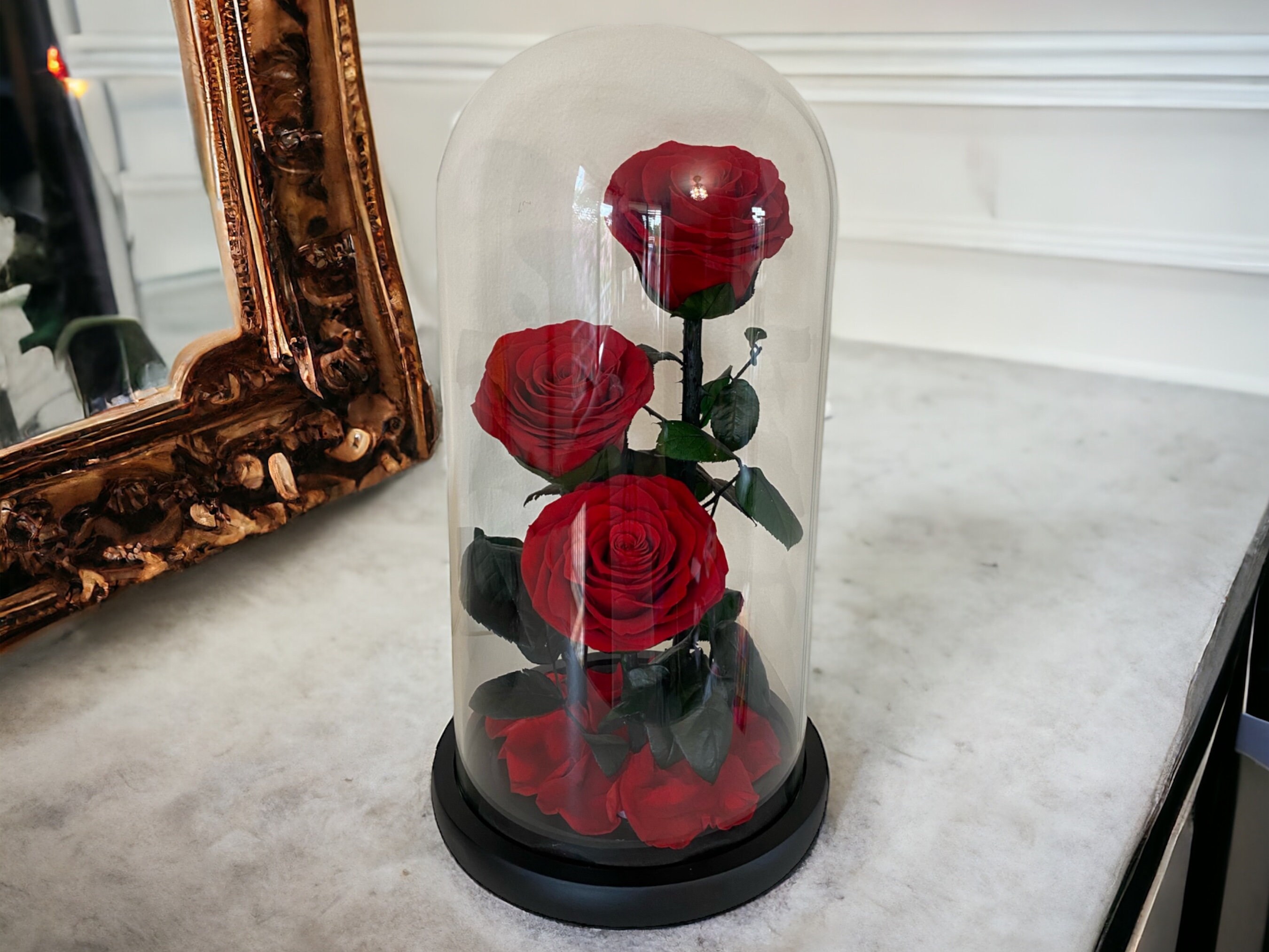 Rose In Glass Handmade Preserved Rose Trio in Glass Dome: Everlasting Floral Display ...