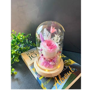 Preserved Pink Rose Glass Dome with LED Lights – Romantic Forever Flower Gift for Valentine&#39;s, Mother&#39;s Day, Wedding & Home Decor