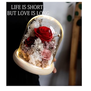 Valentine’s Day Preserved Rose Dome Gift with LED Lights – Handcrafted Eternal Flower in Glass for Anniversary & Birthday
