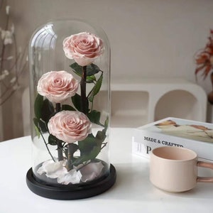 Eternal Charm: Trio of Preserved Roses in Glass Dome&quot;，Preserved Red Rose in Glss Dome, Infinity Rose in Glass Dome, Personalizd Preserved