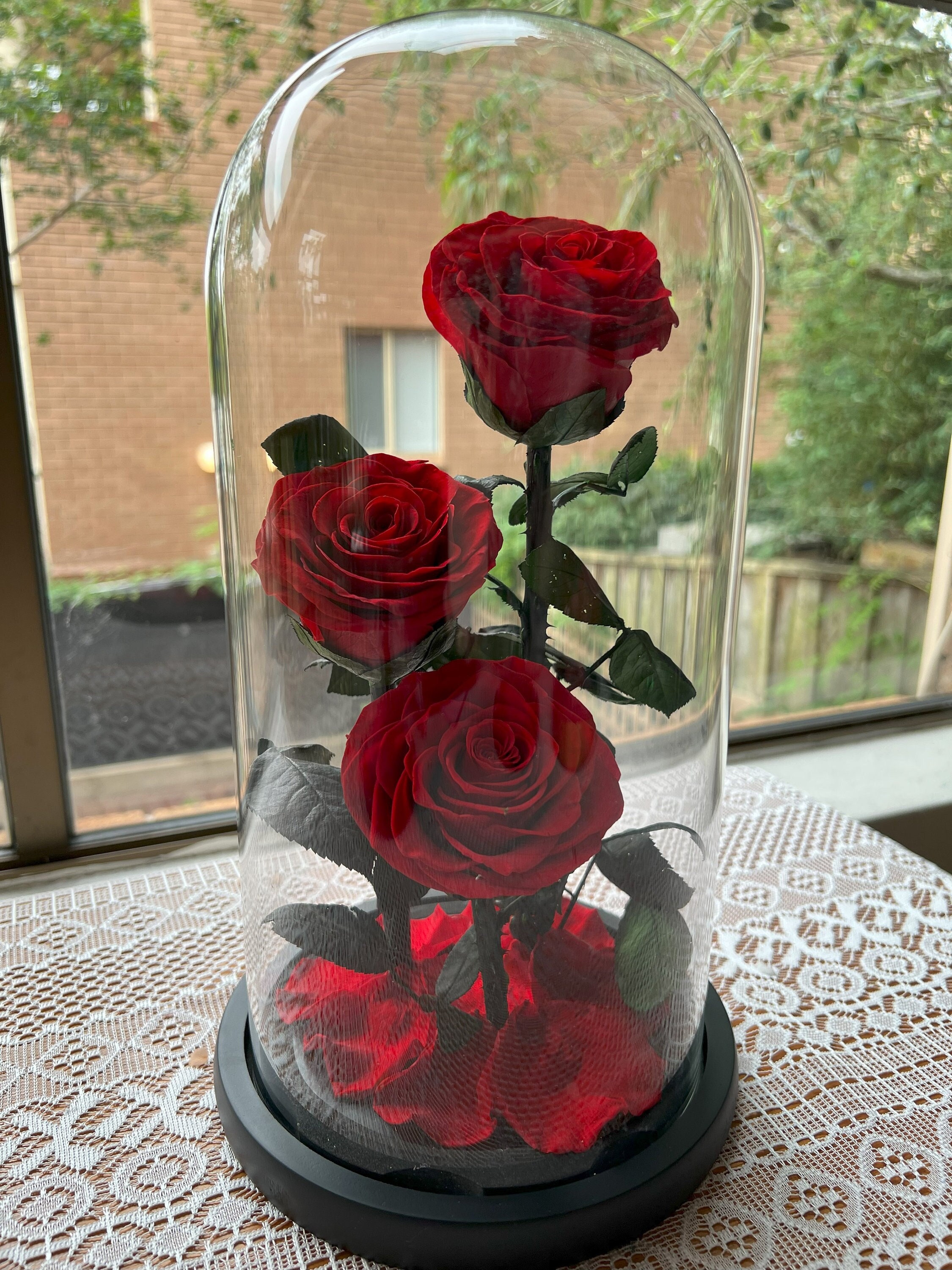 Rose In Glass Handmade Preserved Rose Trio in Glass Dome: Everlasting Floral Display ...