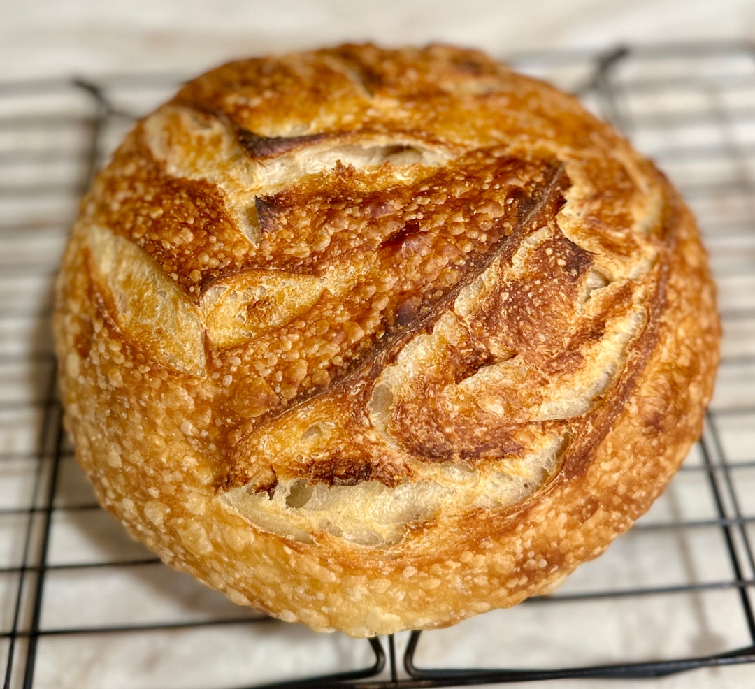 Sourdough Rounds Sourdough Classic Round - Etsy