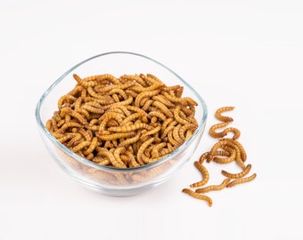 Live mealworms 100g-1000g - the perfect dietary supplement for birds, reptiles, fish and small mammals!