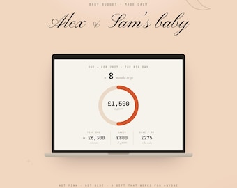 Baby Budget Planner Spreadsheet, First Year Baby Costs, Nursery & Registry Tracker, Newborn Savings, Excel + Google Sheets, Digital Download