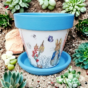 May include: A white ceramic plant pot with a light blue rim and matching saucer. The pot features illustrations of a rabbit, flowers, a bee, and butterflies. The pot is surrounded by succulents.