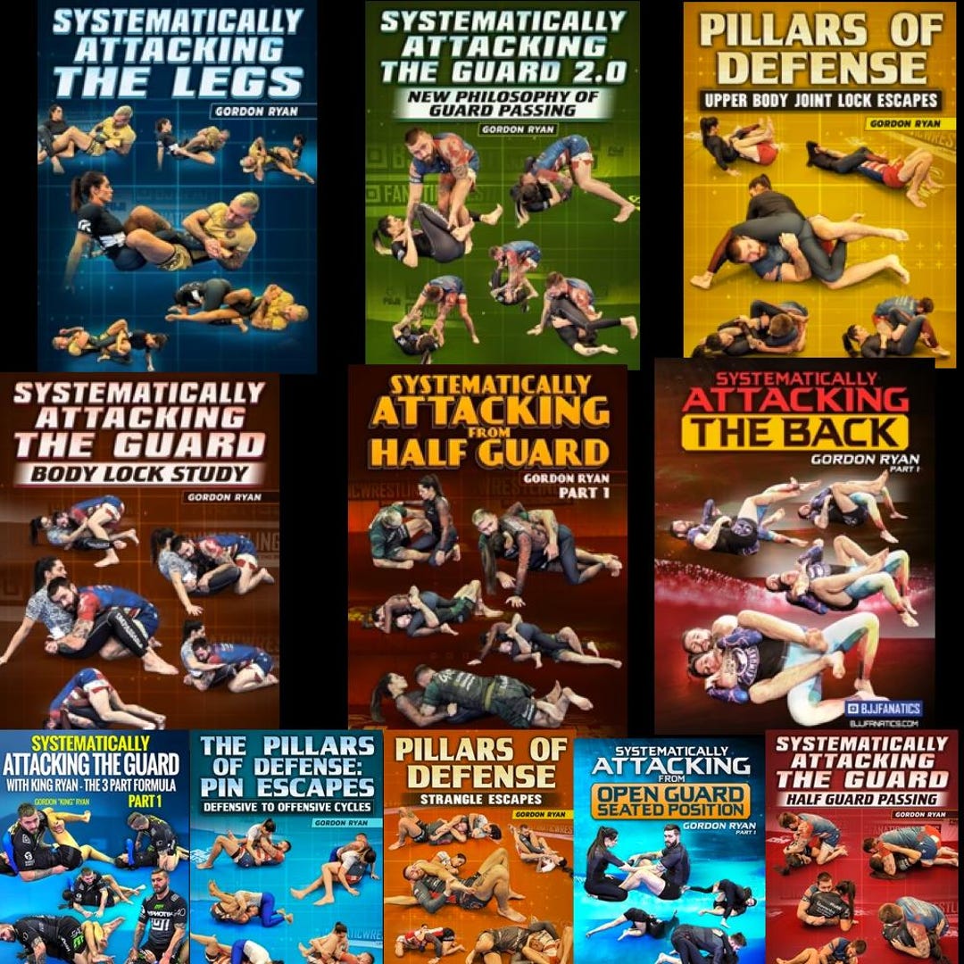 GORDON RYAN 柔術　タートルポジション攻略　dvd Systematically Attacking the Turtle Position by Gordon Ryan