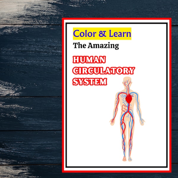 Discover & Color, Anatomy Adventures, Human Circulatory System Coloring Adventure E-Book for Kids (6-12), Circulatory System Coloring Pages