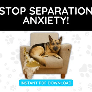 Cómo detener la ansiedad por separación (PDF) para dueños de perros