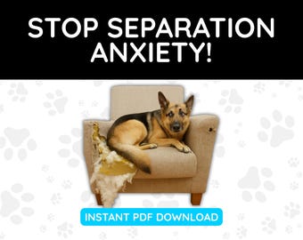 Como Parar a Ansiedade de Separação em PDF para Donos de Cães