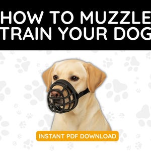 May include: A yellow Labrador Retriever wearing a black muzzle. The image has the text "HOW TO MUZZLE TRAIN YOUR DOG" at the top and "INSTANT PDF DOWNLOAD" at the bottom. The background is white with paw print patterns.