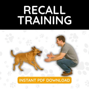 Recall Training PDF for Dogs
