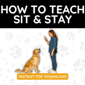 犬にお座りと待てを教える方法 PDF