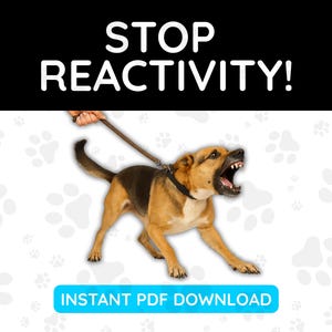 Stop Reactivity PDF for Dog Owners