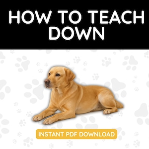 May include: A golden Labrador Retriever lies down on a white background with paw prints. The image has the text "HOW TO TEACH DOWN" at the top and "INSTANT PDF DOWNLOAD" at the bottom in a yellow rectangle.