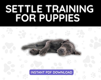 Settle Training for Puppies PDF for Dog Owners