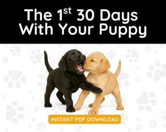Los primeros 30 días con tu cachorro