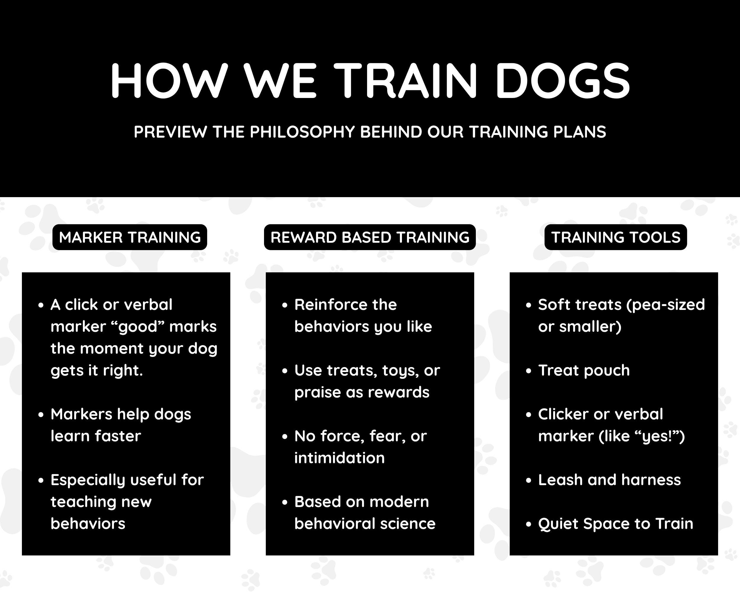 Image showcasing Potty Training PDF for Puppy Owners - Etsy