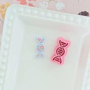 Può includere: Un ciondolo a doppia elica di DNA azzurro con piccoli segmenti color pastello e un tagliabiscotti in plastica rosa a forma di doppia elica di DNA. Entrambi gli oggetti riproducono la struttura molecolare del DNA con una scala a chiocciola.