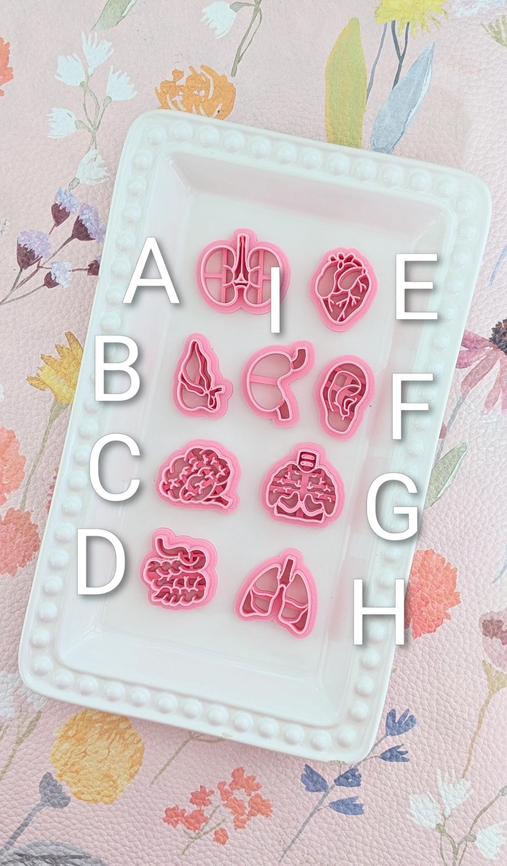Human Cutter Shape Human Organs Clay Cutters: Anatomy Jewelry, Medical Crafts - Etsy