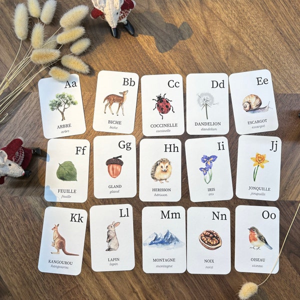 Cartes alphabet de la nature,  carte type montessori