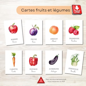 68 Cartes fruits et légumes - Cartes montessori - Français - Cartes imprimables - fichier numerique - IEF