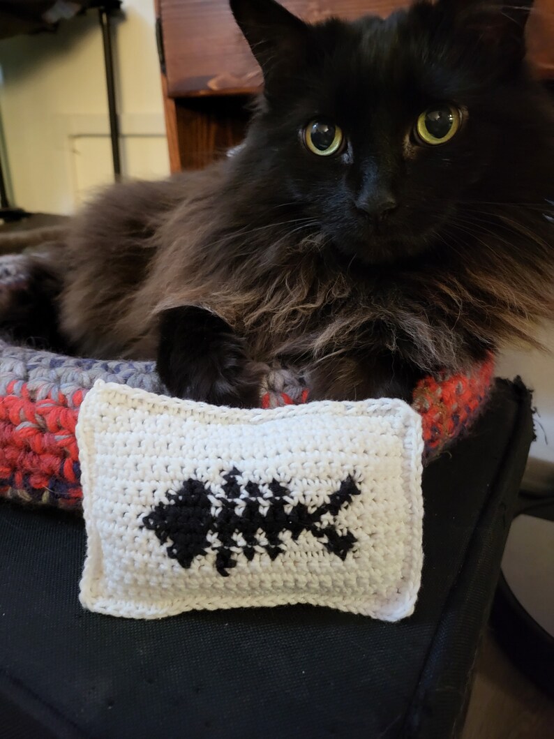 May include: A black cat with green eyes is lying in a crocheted cat bed. A white crocheted pillow with a black fish design is in front of the cat.