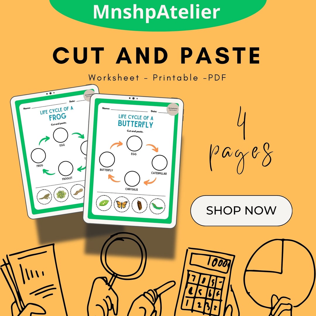 Cut and Paste Worksheets of Animal Life Cycles With Our Exciting 4-page ...