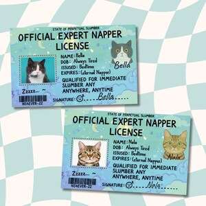 May include: Two rectangular novelty cards titled Official Expert Napper License. The cards feature a light blue background with clouds, moons, and Zzzz text. Each card displays a cat photo, the name Bella or Nala, and details like DOB: Always Tired.