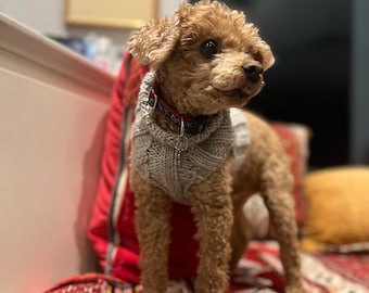 Pull côtelé pour chien