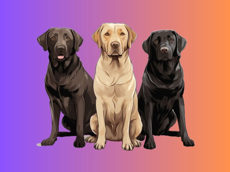 Dog Decal Labrador Retriever Dog Sticker Chocolate Lab Sticker Yellow ...