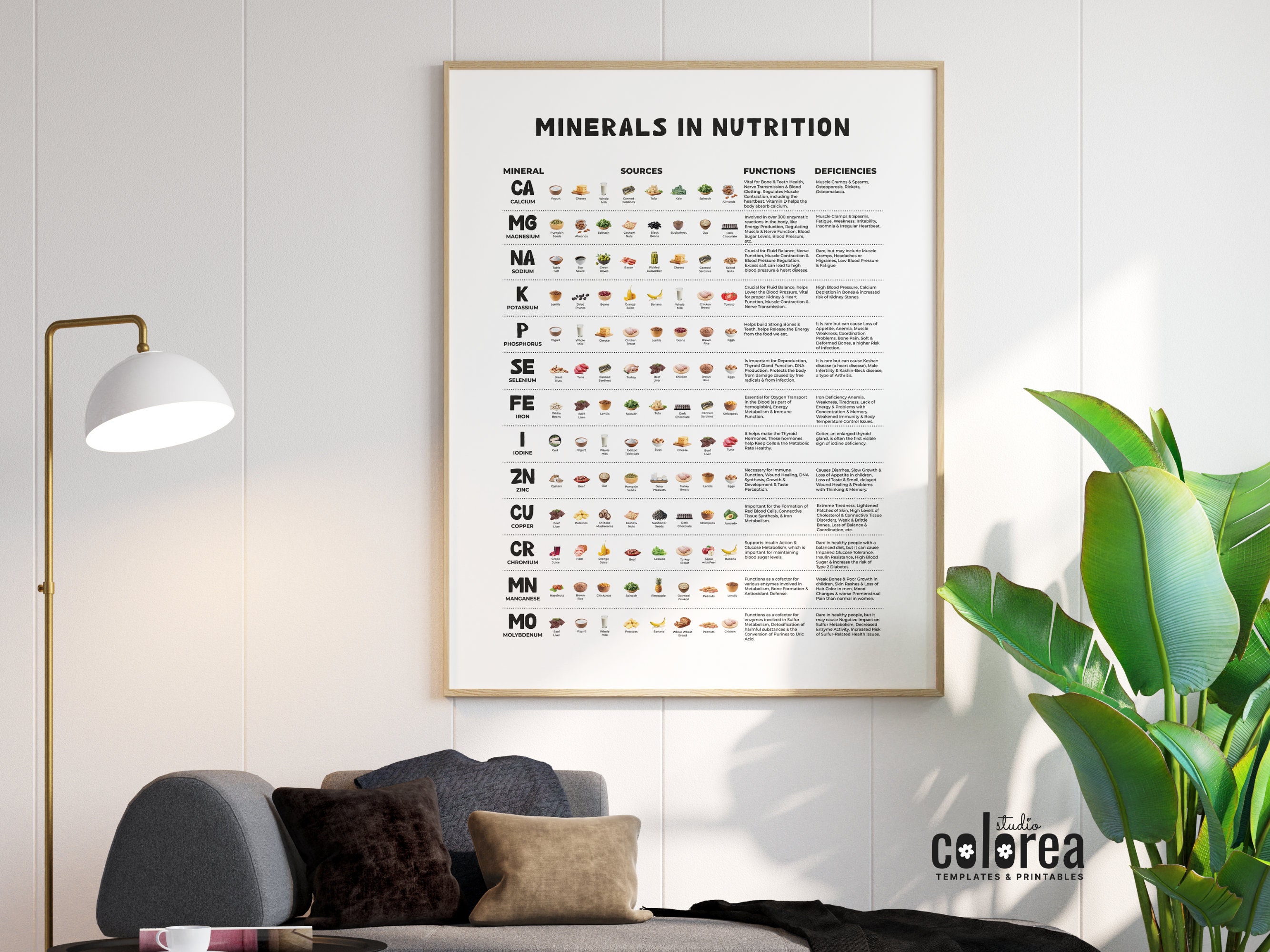Minerals in Nutrition Mineral Guide Nutrition Poster Health Coach ...