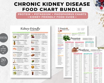 Kidney Friendly Food Charts Bundle, Protein, Potassium, Phosphorus (Digital Download, PDF)