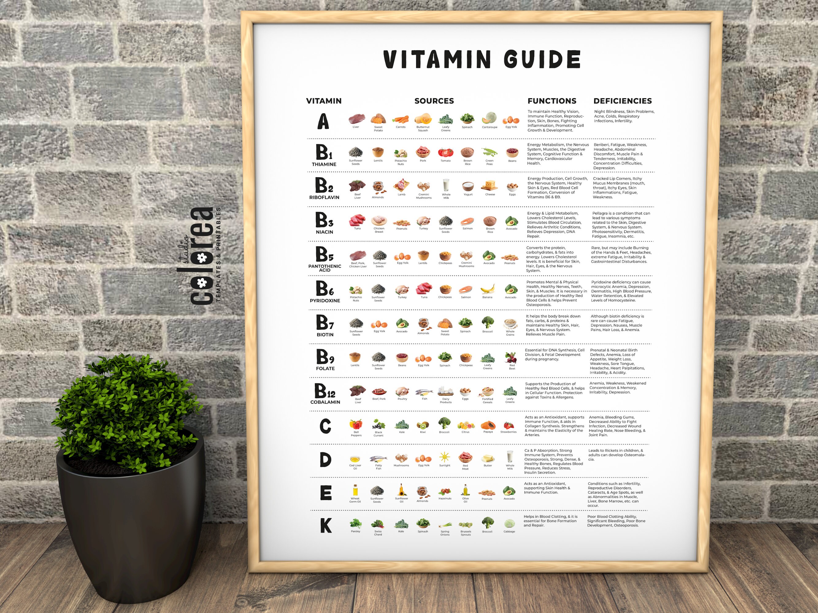 Vitamins Guide Poster | Nutrition Education, Food Sources (digital ...