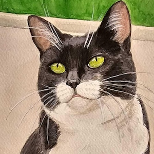 Ritratto di gatto su commissione, regalo per amanti degli animali, ritratto di animali domestici da più foto, regalo commemorativo per gatti, regalo per amanti dei gatti, regalo per mamma gatta