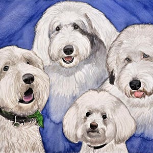 Ritratto di animale domestico dipinto a mano ad acquerello, ritratto di cane personalizzato da foto, regalo perfetto per gli amanti degli animali, mini arte per animali domestici di Commissiom, pittura di cavalli