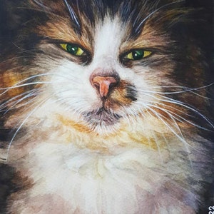 Ritratto di gatto personalizzato, regalo per gli amanti degli animali, commissione di opere d'arte per animali da più foto, regalo commemorativo per gatti, regalo per gli amanti dei gatti, regalo per la mamma gatta