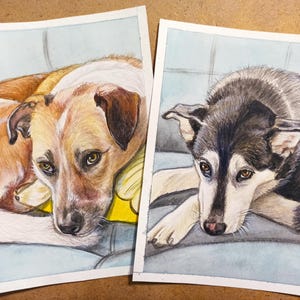 Ritratto di animale domestico personalizzato fatto a mano da foto, regalo per amanti degli animali, dipinto di gatto, cane, cavallo, animale domestico, regalo commemorativo per animali domestici. Ritratto di cane 5x7